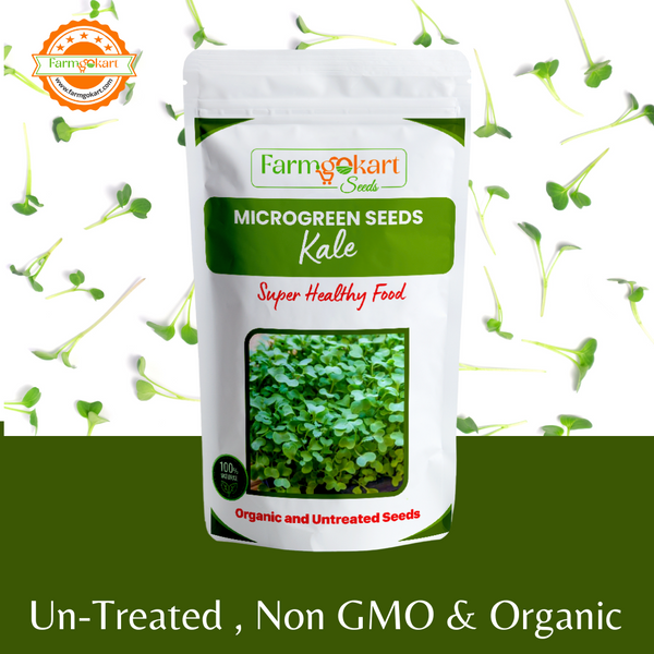 Kale Microgreen Grower Pack