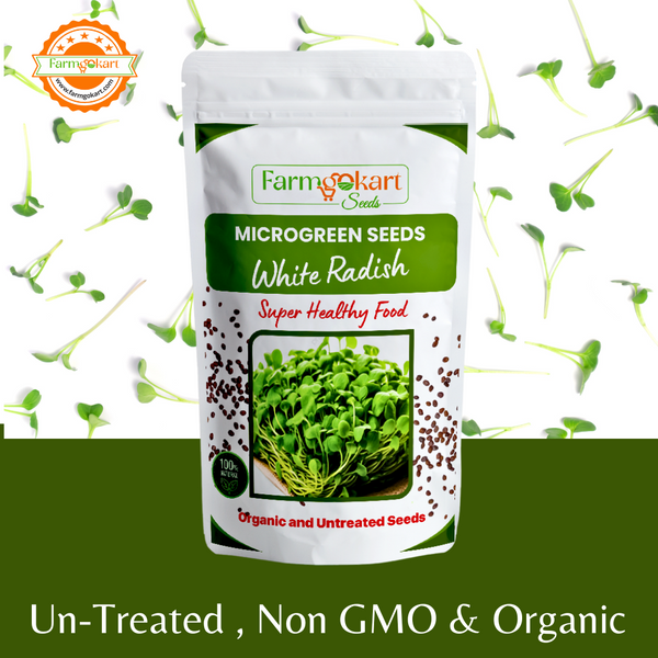 White Radish Microgreen Grower Pack