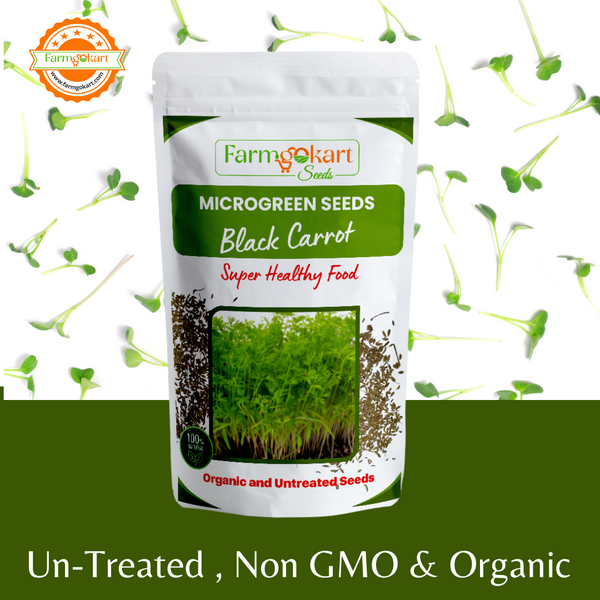 Carrot Black Microgreen Grower Pack