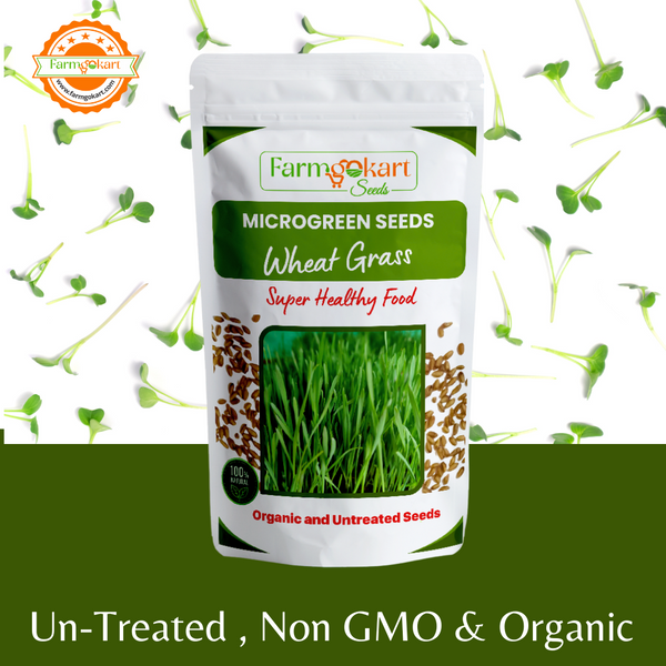 Wheat Grass Microgreen Grower Pack