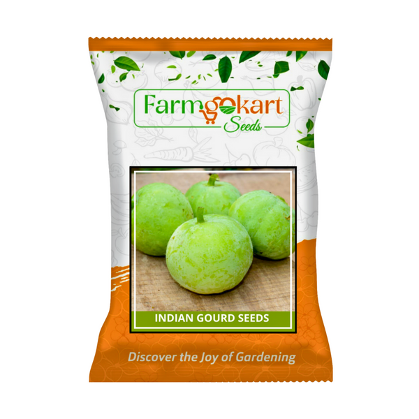 TINDA -INDIAN ROUND GOURD (TINSI) SEEDS - 200 Grams
