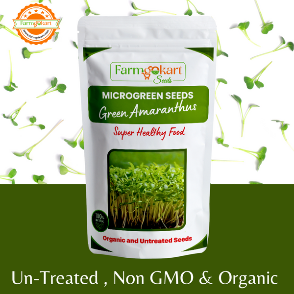Amaranthus Green Microgreen Grower Pack