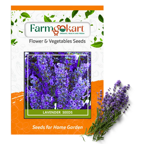 LAVENDER -Farming Seeds