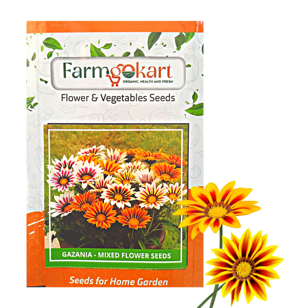 Gazania - Sunshine  Grower Seeds Pack - 1500 Seeds
