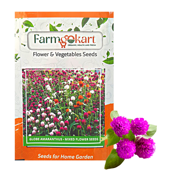 Gomphrena  Mixed Flower - Pack of 150 Seeds