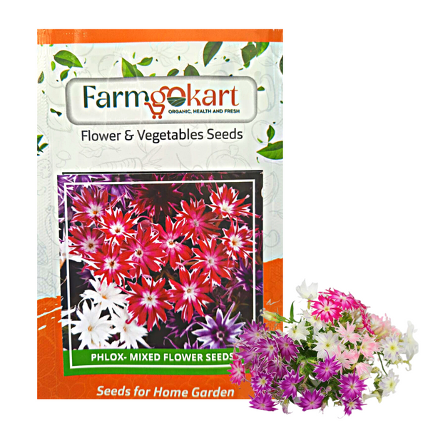 Phlox- Twinkle Mixed Flower - Pack of 200 Seeds