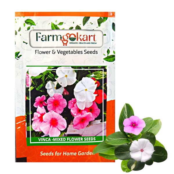Vinca / Periwinkle  Grower Seeds Pack - 1000 Seeds
