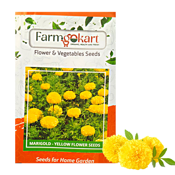 Marigold - African Yellow Grower Seeds Pack- 1000 Seeds