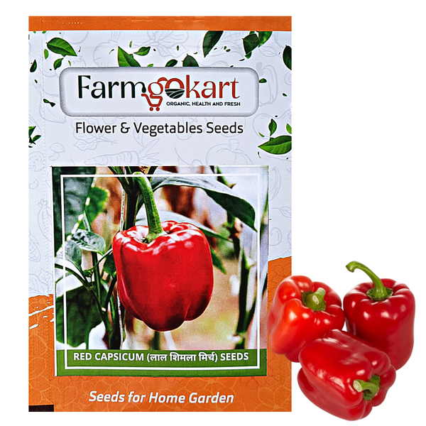 RED CAPSICUM (California Wonder )-  Farming Seeds