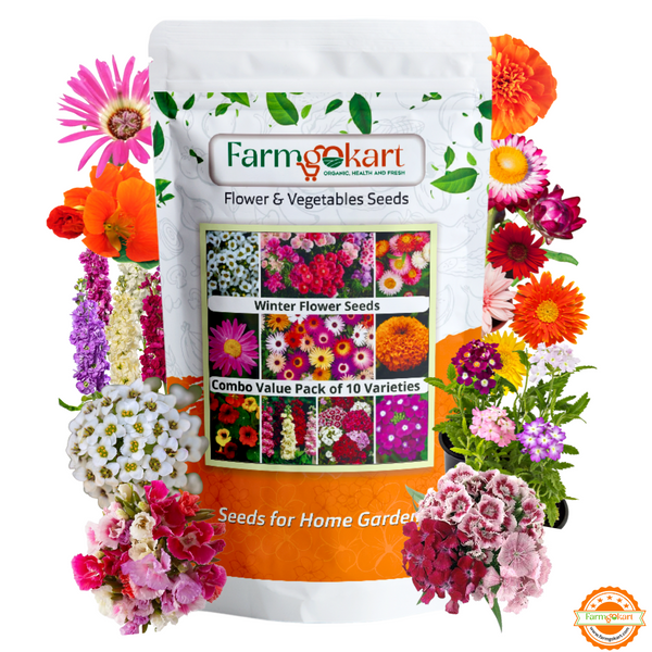 Winter Season Combo Pack of 10 Varieties Flower Seeds Packets in one | Appx 1470 Seeds