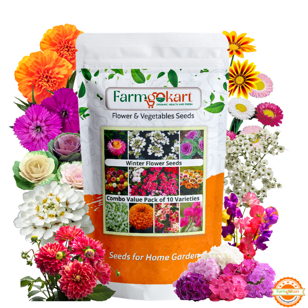 Winter Season Combo Pack of 10 Varieties Flower Seeds Packets in one | Appx 1325 Seeds