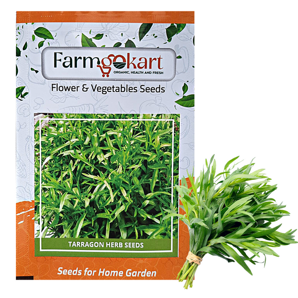 TARRAGON HERB (Artemisia Dracunculus)   -Farming Seeds