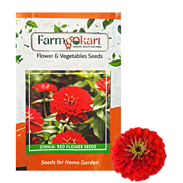 Zinnia - Red Grower Seeds Pack - 10 Gms