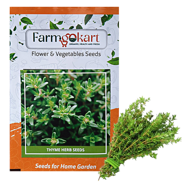 THYME HERB (English Winter ) - Farming Seeds