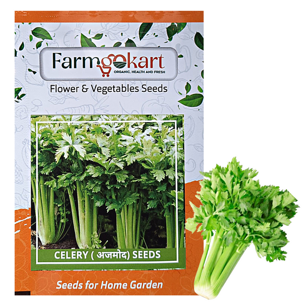 CELERY (Self Blanching) -Farming Seeds  ( 5 GM & 10 Gm Pack)