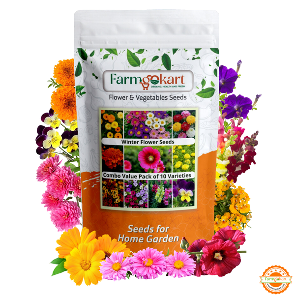 Winter season flower seeds | combo pack of 10 varaties (appx 1725 seeds)