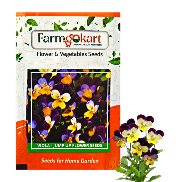 Viola - Johny Jump Up Grower Seeds Pack - 5 Gms