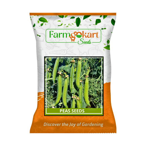 PEA (MUTTER) SEEDS  -  200 Grams | Perfect for Home Gardening, Open Farming and Poly House Farming