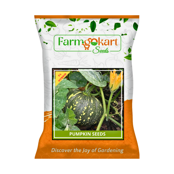 PUMPKIN (Round Shaped) HYBRID F1 HYBRID SEED - 10 Grams (Appx Seed Count - 50-60 Seeds)