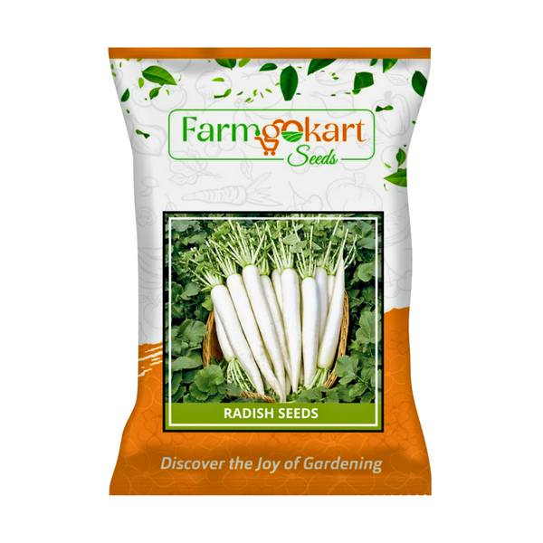 RADISH WHITE -SEEDS - 100 Grams ( Perfect for Home Gardening, Open Farming and Poly House Farming)