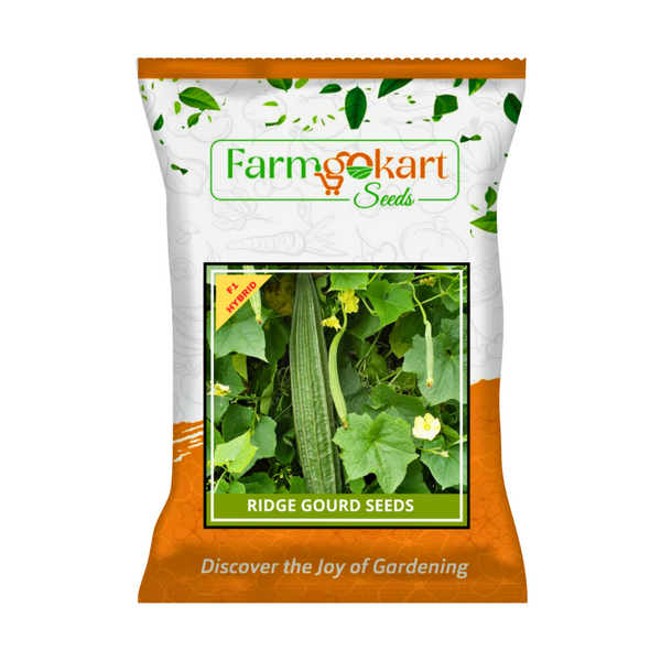 RIDGE GOURD (TORU, TORAI) HYBRID F1 SEEDS  - 10 Grams (Appx Seed Count 90-100 Seeds)