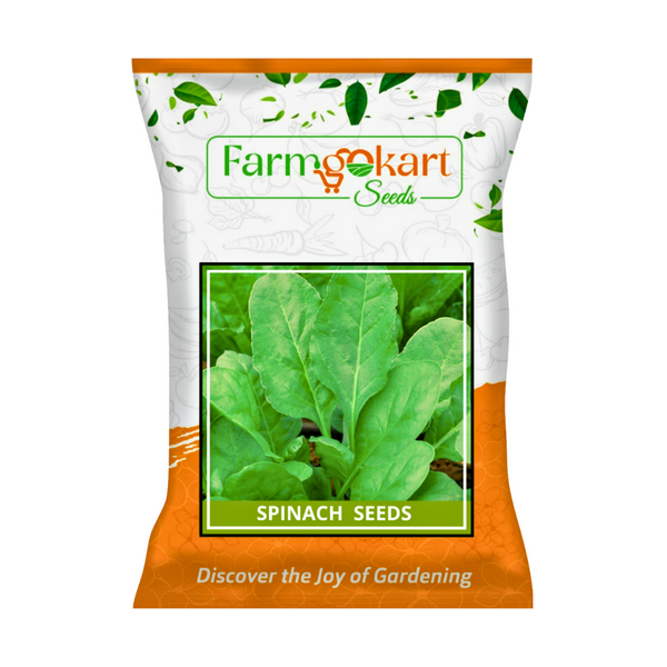 SPINACH (PALAK) SEEDS  - 100 Grams (Perfect for Home Gardening, Open Farming and Poly House Farming)