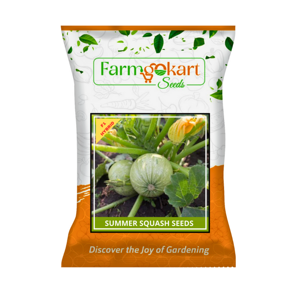 SUMMER SQUASH SEEDS-HYBRID F1 SEEDS  - 10 Grams (Appx Seed count : 80-90 Seeds)