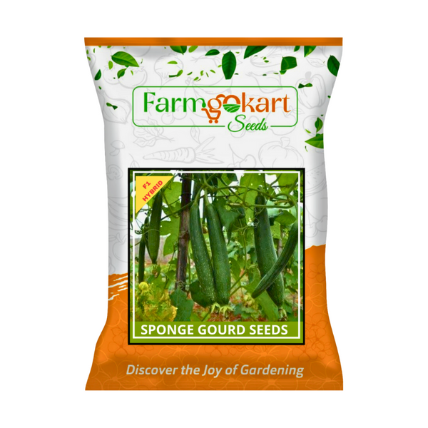 SPONGE GOURD (CHIKNI TORU/GILKI) HYBRID F1 SEEDS- 10 Grams ( Seed Count Appx 100-110 Nos )