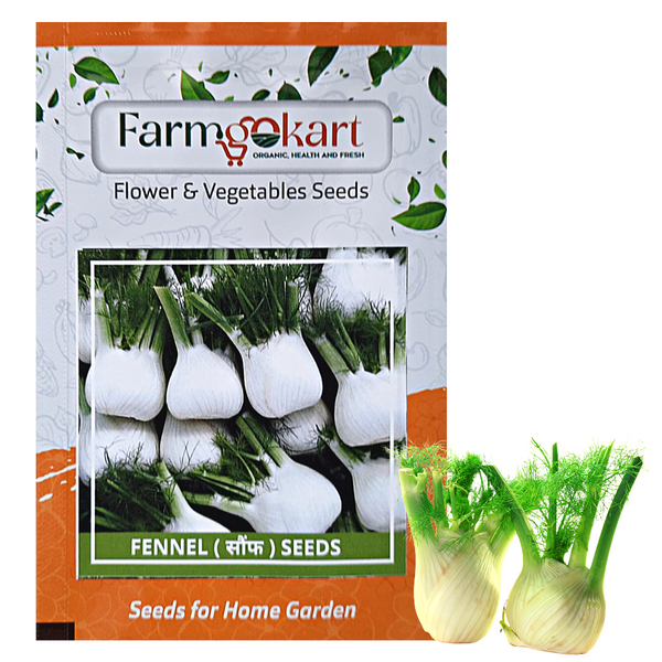 FENNEL -SAUF - Pack of 250 Seeds