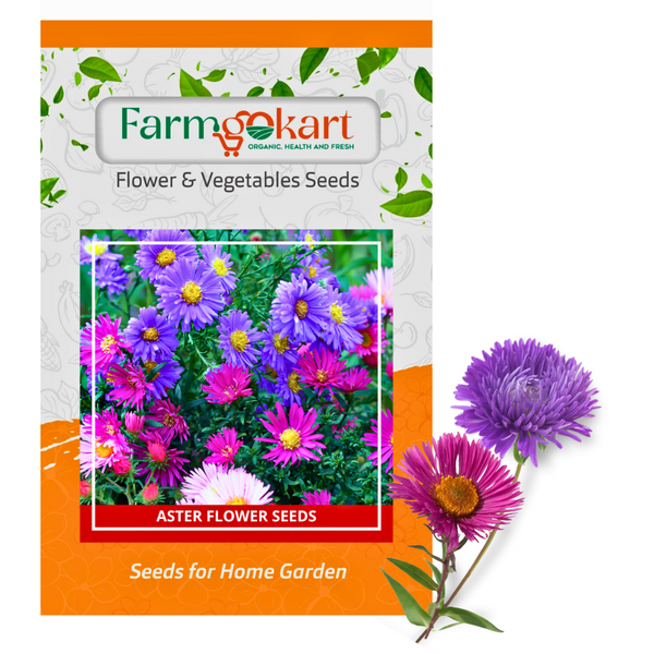 Aster Mixed Flower - Pack of 200 Seeds