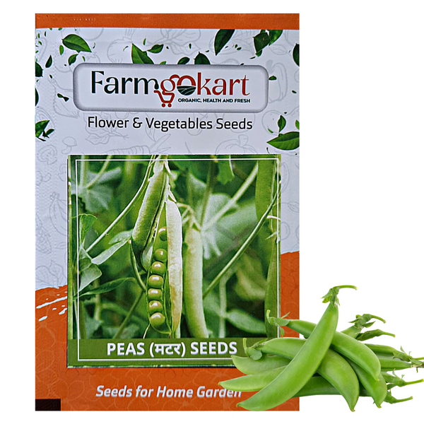 PEA -Pack of 10 Gms Seeds
