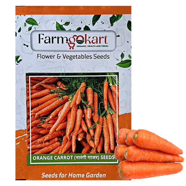 ORANGE CARROT - Pack of 400 Seeds