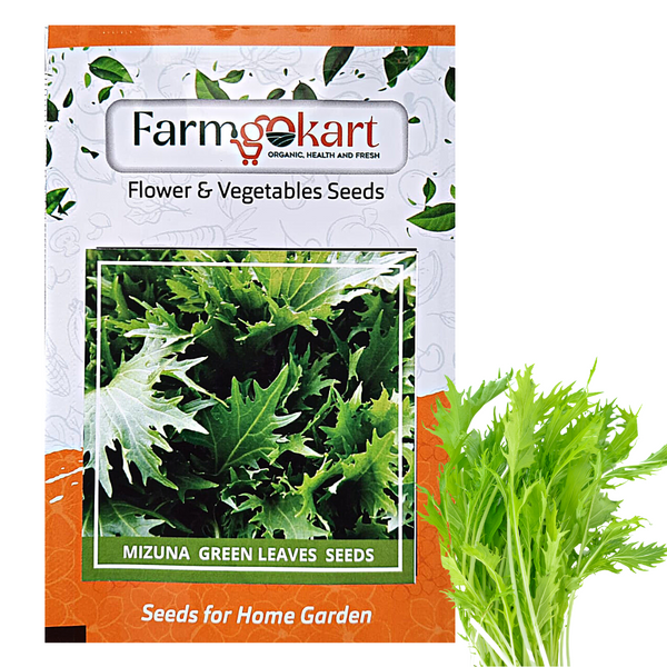GREEN MIZUNA - Pack of 200 Seeds