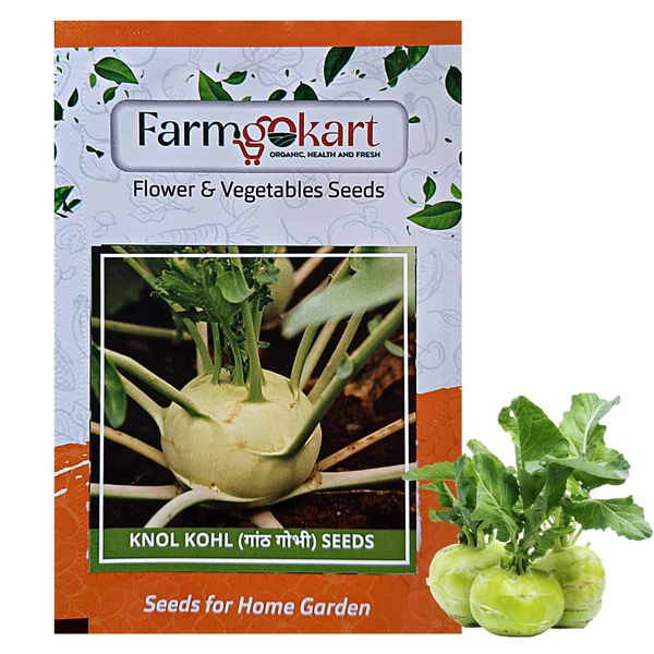 KNOL KHOL -Pack of 600 Seeds
