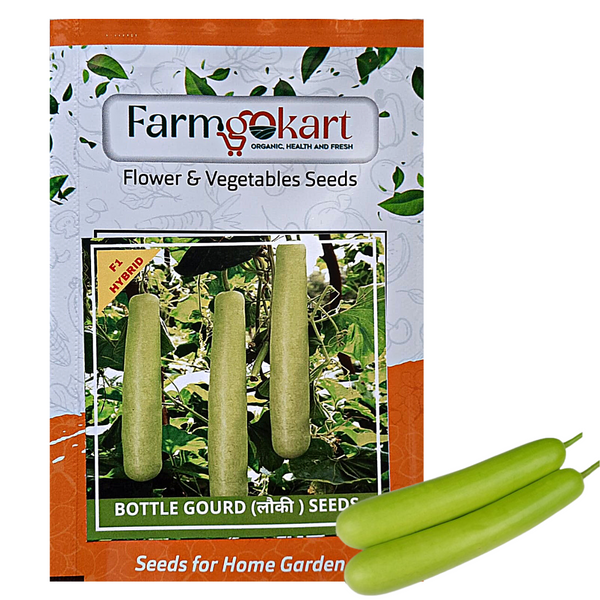 BOTTLE GOURD LONG F1  HYBRID - Pack of 15 Seeds