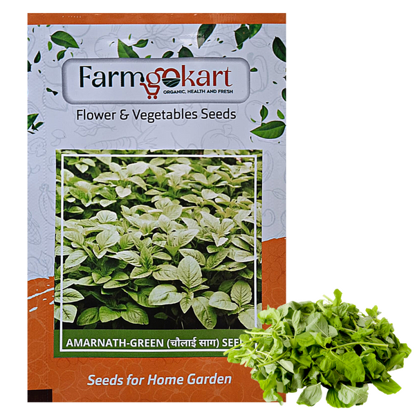 AMARANTHUS - GREEN -Pack of 10 Gms Seeds
