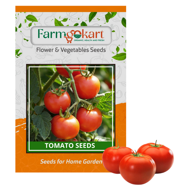 TOMATO ROUND -Pack of 600 Seeds