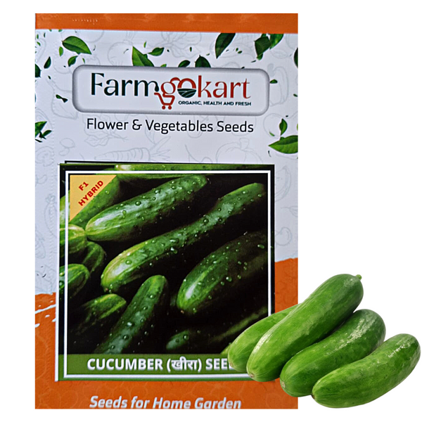 CUCUMBER DARK GREEN  F1 HYBRID SEEDS - Pack of 25 Seeds