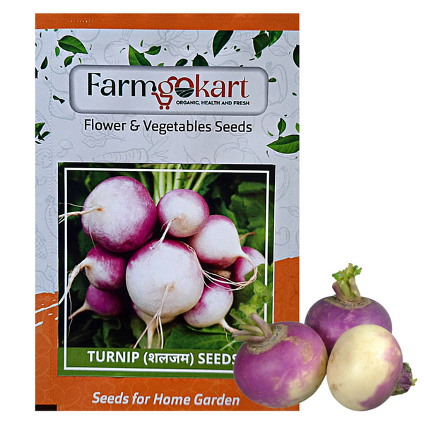 TURNIP -Pack of 800 Seeds