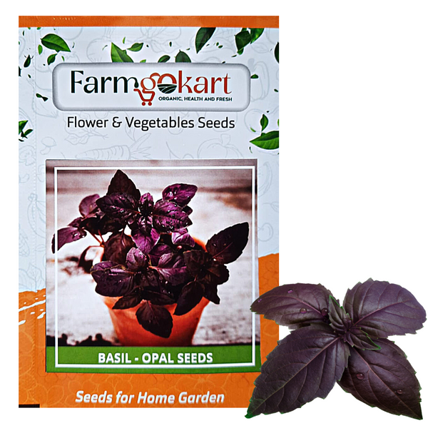 OPAL BASIL - Pack of 250 Seeds