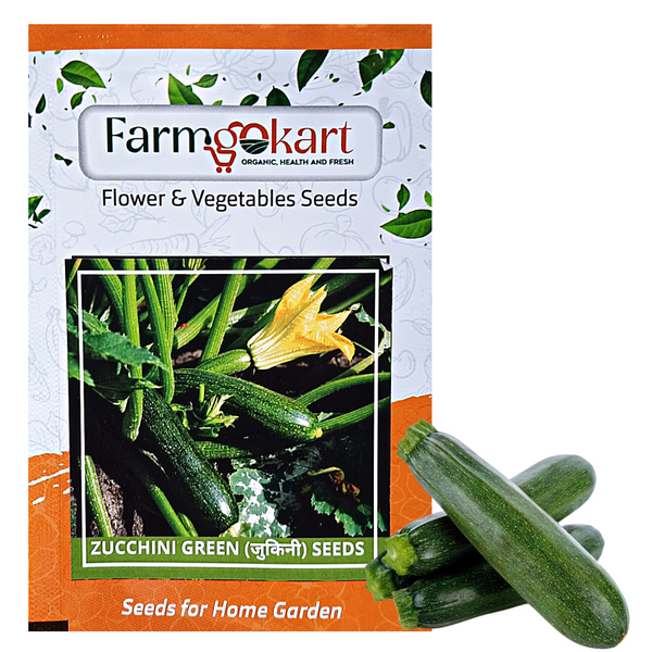 GREEN ZUCCHINI - Pack of 10 Seeds