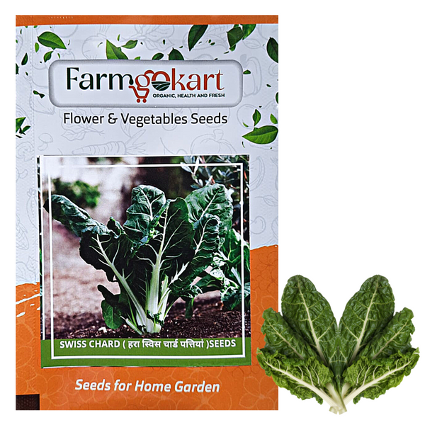 SWISS CHARD - Pack of 200 Seeds