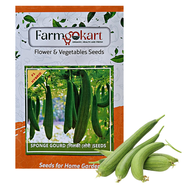 SPONG GOURD F1 HYBRID -Pack of 20 Seeds