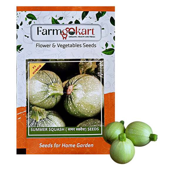 SUMMER SQUASH F1 HYBRID -Pack of 10 Seeds