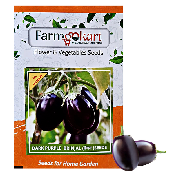 BRINJAL DARK PURPLE F1 HYBRID - Pack of 100 Seeds