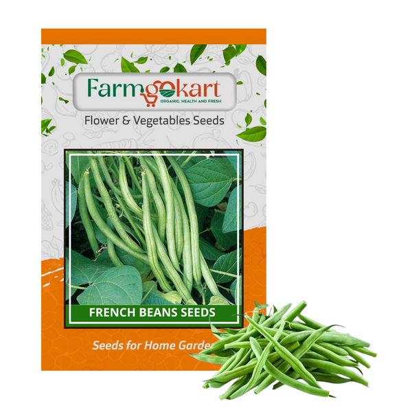 FRENCH BEANS  -Pack of 5 Gms Seeds