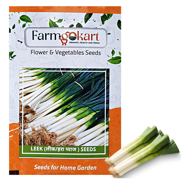LEEK - Pack of 200 Seeds