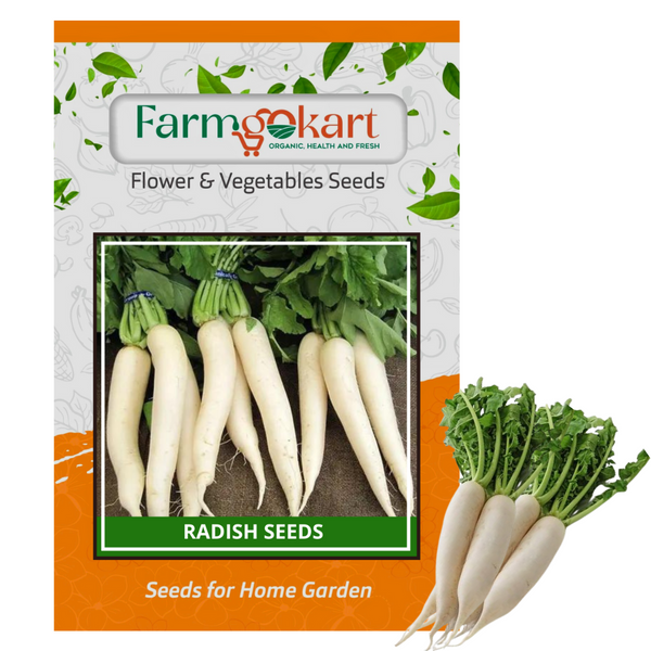 RADISH -Pack of 5 Gms Seeds