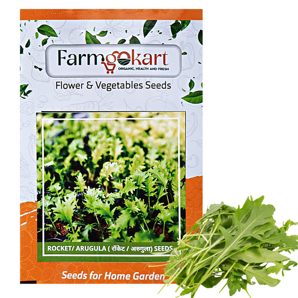 ROCKET/ ARUGULA - Pack of 10 Gms Seeds