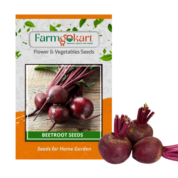 BEET ROOT -Pack of 250 Seeds